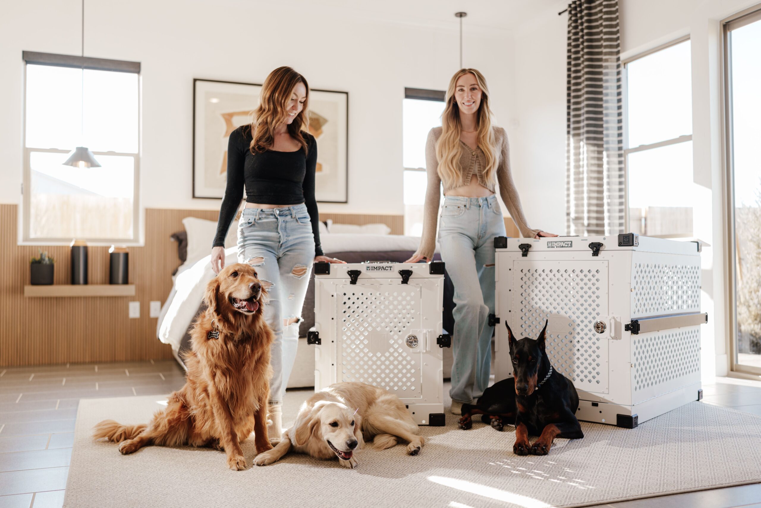 Hundebox Horizontal